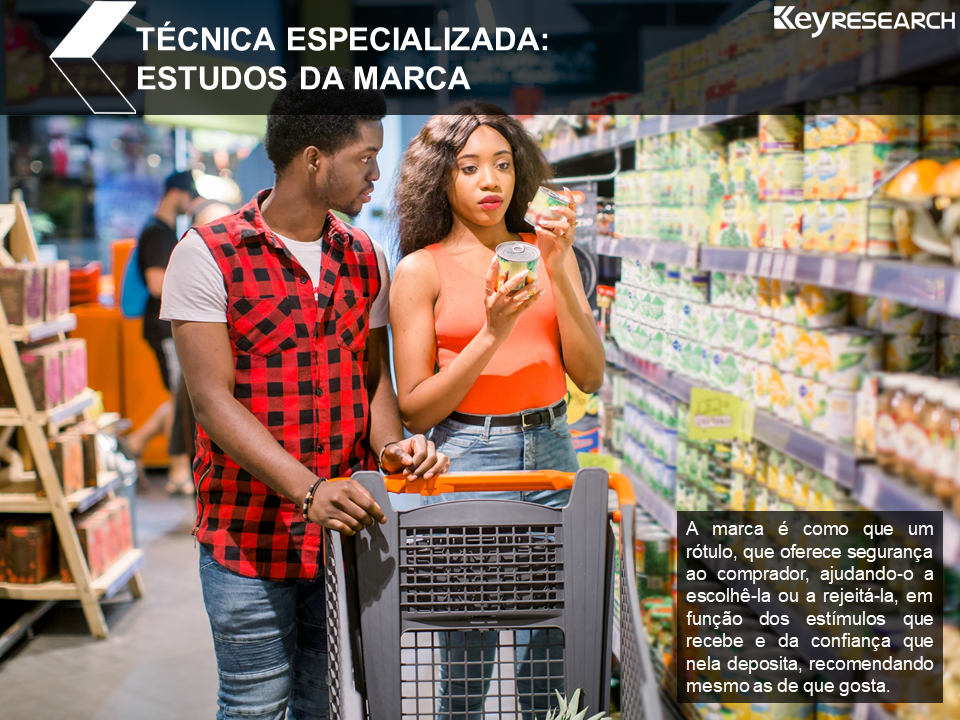 Técnica especializada: ESTUDOS DA MARCA