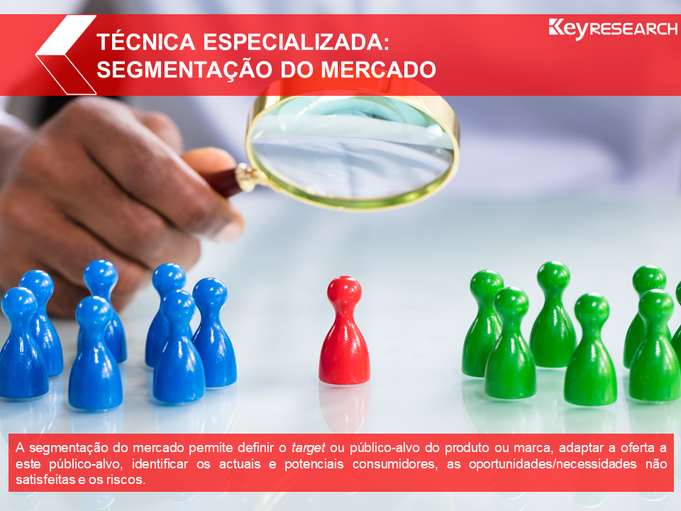 Técnica especializada: SEGMENTAÇÃO DO MERCADO